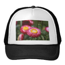 Serenity 1 trucker hats