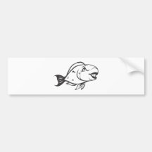Serious Parrot Fish in Black and White Bumper Stickers