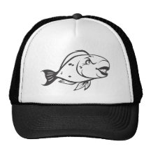 Serious Parrot Fish in Black and White Hat