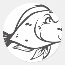Serious Parrot Fish in Black and White Round Stickers