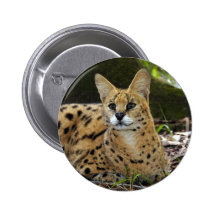 serval 015 pinback button