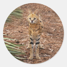 serval 046 stickers