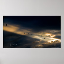 Seven Bird Vision, Bob Orsillo Poster