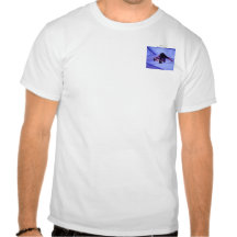 sf fox in the bowl tee shirt