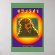 Shades Poster