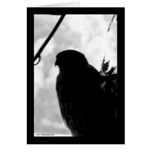 Shadow Hawk Card