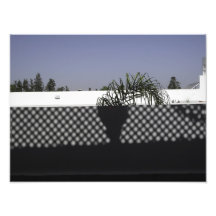 Shadow Photograph