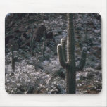 Shadowed Rocks Mouse Pads