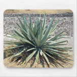 Shady aloe vera on a sunny day mousepad