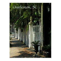 Shady Charleston Post Card