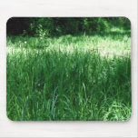 Shady Meadow on a sunny day Mouse Pads