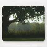 shady tree view mousepad