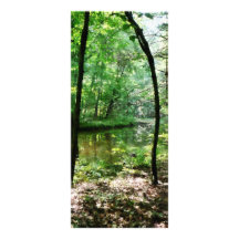 Shady Woods Customized Rack Card