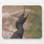 Shag Long Necked Bird Mousepad