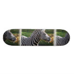 Shaggy Zebra Skateboard Decks