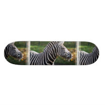 Shaggy Zebra Skateboard Decks