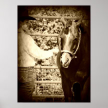 Shaowmanship Sepia Poster