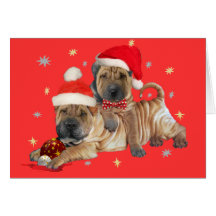 Shar-pei brothers Christmas Cards