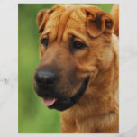 Shar Pei Dog Flyer