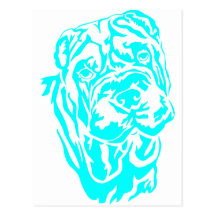 SHAR PEI HEAD POSTCARDS