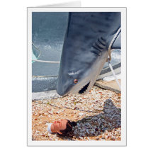 Shark Attack Cards