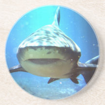 Shark Coasters