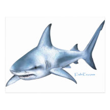 Shark Collection by FishTs.com Postcards