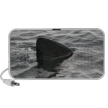 Shark Fin Travel Speakers