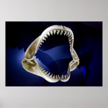 shark jaws and teeth poster FROM 14.95