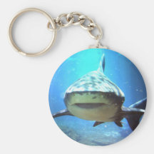 Shark Keychain