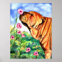 SharPei Poster Print