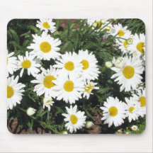 Shasta Daisies Mouse Pad