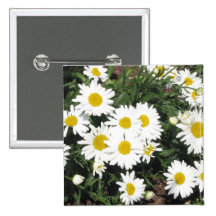 Shasta Daisies Square Pin