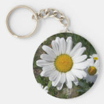 Shasta Daisy (Chrysanthemum maximum) Keychain