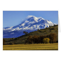 SHASTA VIEW CARD