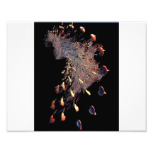 Shattered Hearts Photographic Print