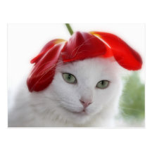 She Wore a Hat Shaped Like a Tulip Post Cards