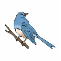 Sheecha Sparrow Cut Outs