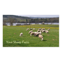 Sheep farm business card