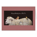 sheep group birthday card