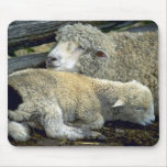Sheep Mousepad