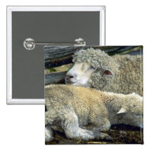 Sheep Pinback Button