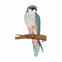 Sheesha Sparrow Acrylic Cut Outs