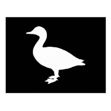 Sheldrake Duck Post Cards