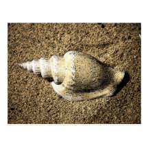 Shell 56 Post Card