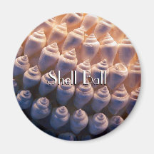 Shell Ball Refrigerator Magnet