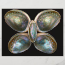 Shell - Conchology - Devine Pearlescence Custom Flyer