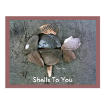 Shell Fish, Shells To You Post Cards