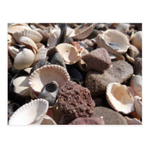Shells and Stones Postcards