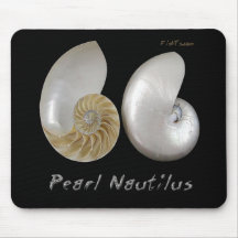 Shells Collection by FishTs.com Mouse Pads